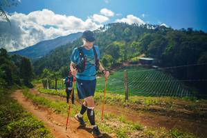 BIB: 
                            <button type="button" onclick="openModal(19157703)" class="btn btn-primary btn-sm float-right btn-popup" data-toggle="modal" data-target=".modal-high-quality">
                        <i class="fas fa-shopping-cart"></i> Add to Cart
                    </button>
                                            <button type="button" onclick="isThisMe(19157703, true)" class="btn btn-success btn-sm float-right btn-popup btn-isme hidden" data-toggle="tooltip" data-placement="bottom" title="นี่คือรูปของคุณใช่ไหม คลิกที่นี่เพื่อเอาเข้าอัลบั้ม">
                        <i class="fas fa-plus"></i> Add to album
                    </button>
                    <button type="button" onclick="isThisMe(19157703, false)" class="btn btn-warning btn-sm float-right btn-popup btn-isnotme hidden">
                        <i class="fas fa-ban"></i> Remove from album
                    </button>